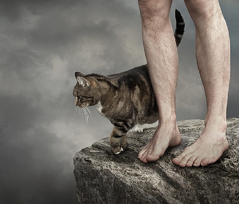 Human - Toy Mouse - It Went Down There, legs, rock, feet, toes, cat, abstract, animal, mist, HD wallpaper