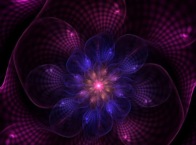 Translucent bloom, colors, fractal, HD wallpaper