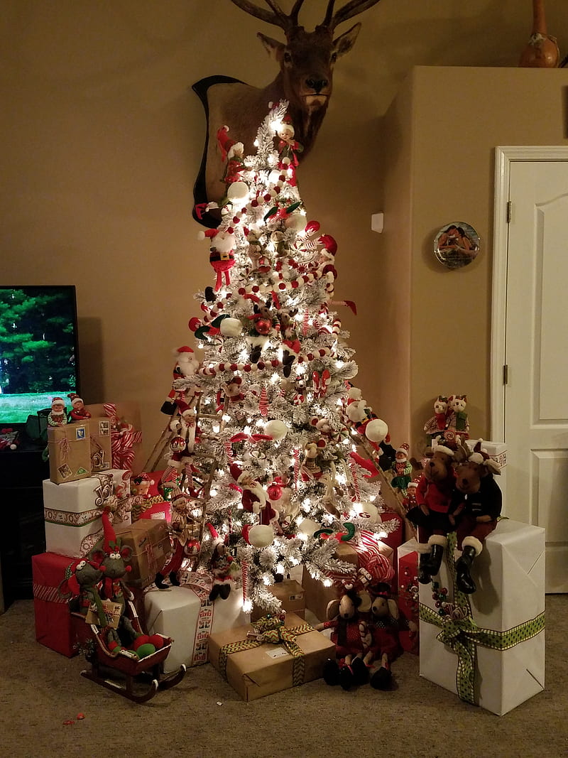 Christmas tree , present, HD phone wallpaper