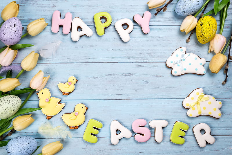 Holiday, Easter, Egg, Flower, Happy Easter, Tulip, HD wallpaper