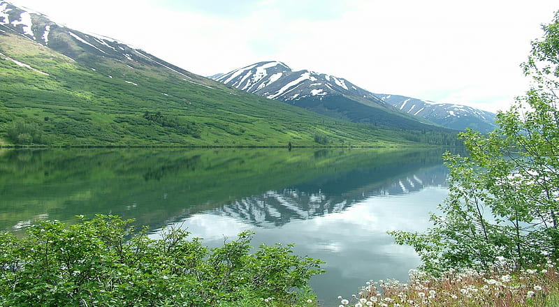 Kenai Mountain Range, Alaska, kenai, grass, alaska, sky, lake, mountain, water, nature, land, blue, HD wallpaper