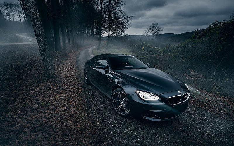 BMW M6, F12, forest road, supercars, 6-Series, darkness, headlights, BMW, HD wallpaper