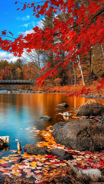 Beautiful scenery, scenery, reflection, lake, forest, hills, fall,  colorful, HD wallpaper | Peakpx