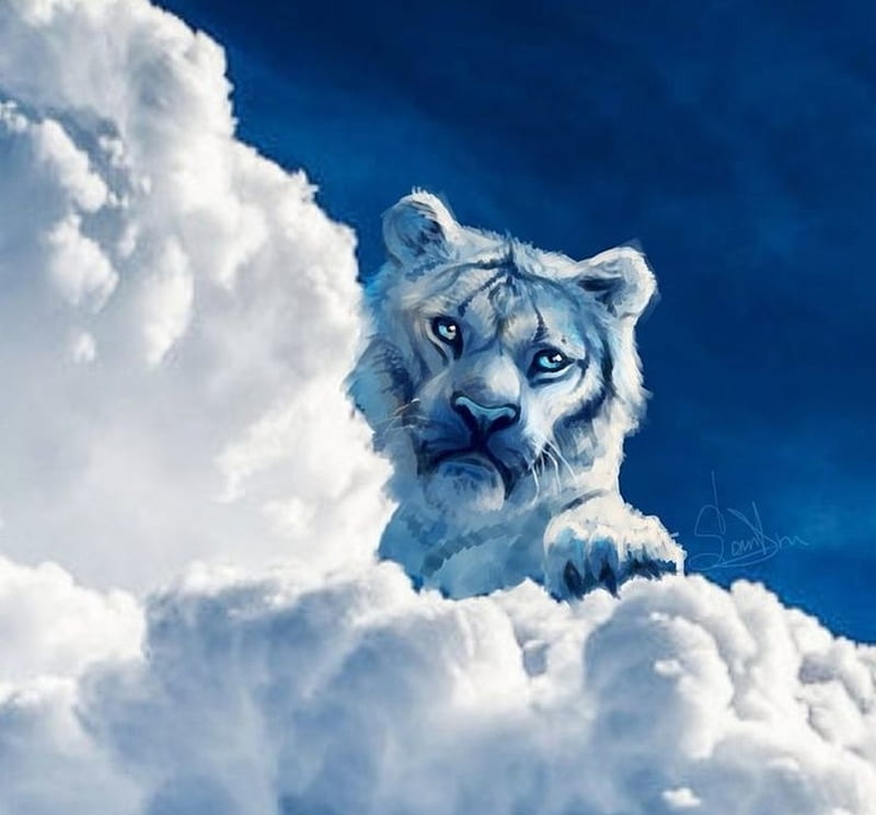 Tiger in the clouds, art, cloud, luminos, paw, tiger, sky, cute, fantasy, summer, cub, white, blue, HD wallpaper