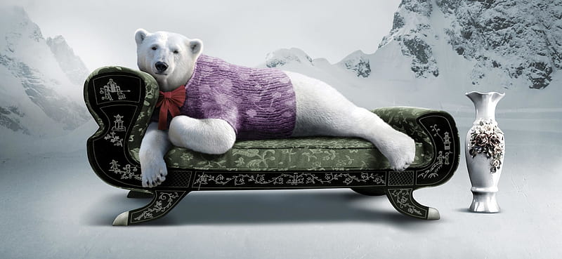:), pink, sofa, polar bear, winter, iarna, advertise, fantasy, add, urs, funny, commercial, HD wallpaper