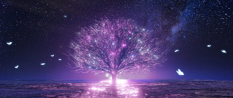 anime landscape, sakura blossom, lonely tree, starry sky, petals, scenery, Anime, HD wallpaper