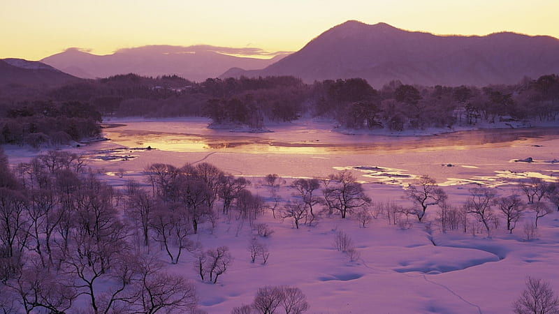 lavender colored winterscape in fukushima japan, forest, mountains, river, pink, winter, HD wallpaper