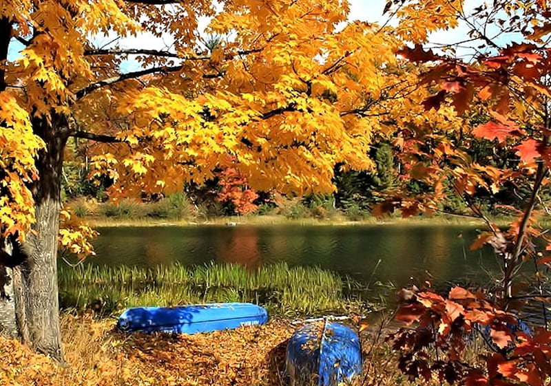 Autumn at the Lake, Boat, Lake, Autumn, Nature, HD wallpaper | Peakpx