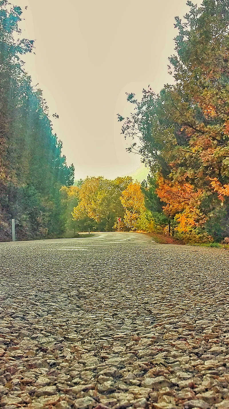 Road, autumn, best, landscape, new, paper, wall, HD phone wallpaper
