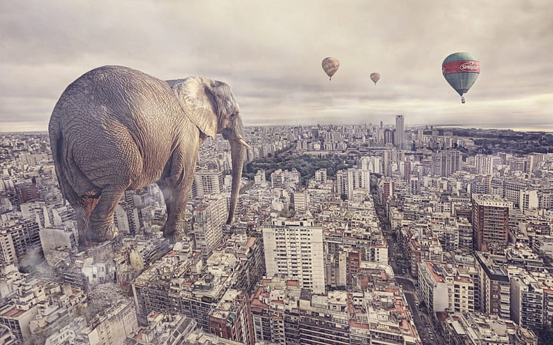 Fantasy, buildings, elephant, creative, situation, animal, balloon, city, flying, HD wallpaper