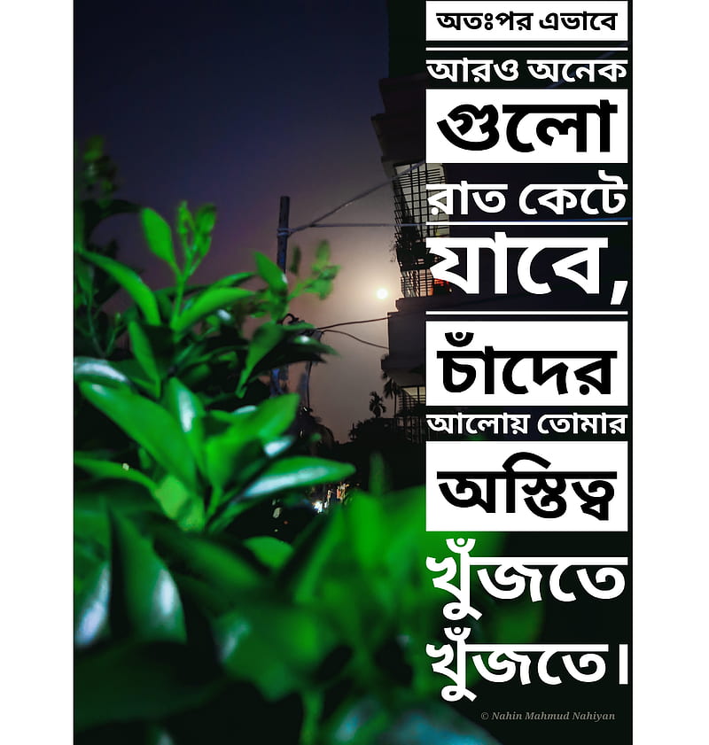 Moonlight Meaning In Bengali