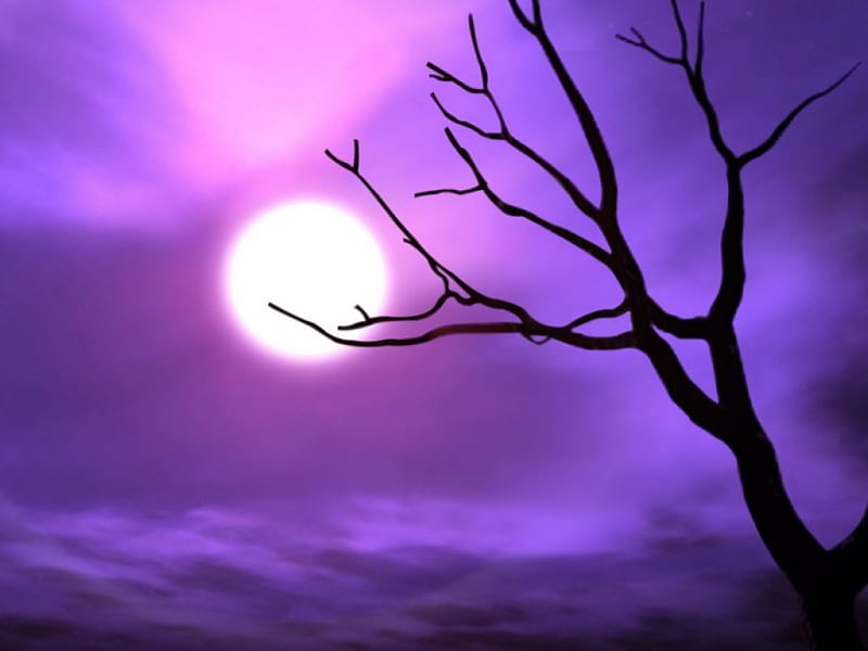 Purple sky_night_tree, tree, moon, purple, shadows, nature, fog, night ...
