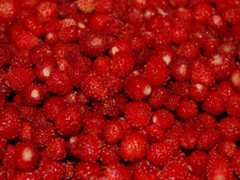 Berries !, red, berries, fresh, fruits, spoil, sweet, HD wallpaper