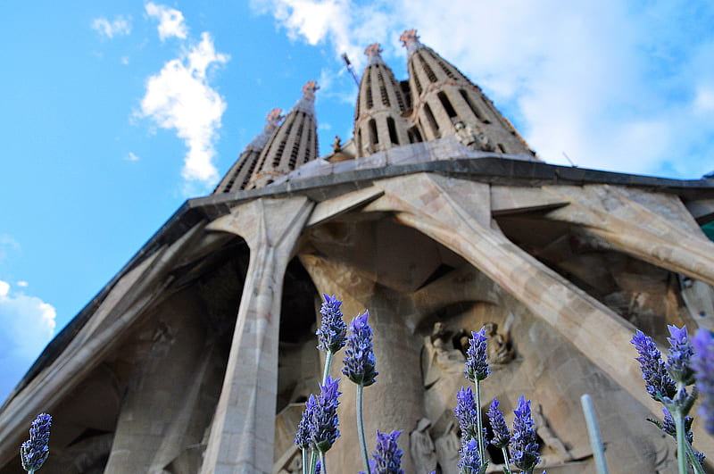 Sagrada Familia, barcelona, sagrada, katalunya, espana, familia, HD wallpaper