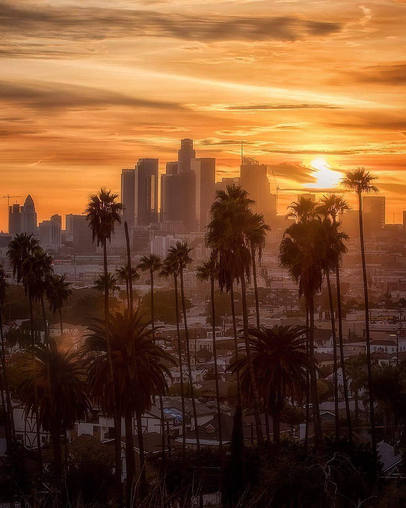 Sunset Los Angeles, city, los angeles, HD phone wallpaper | Peakpx
