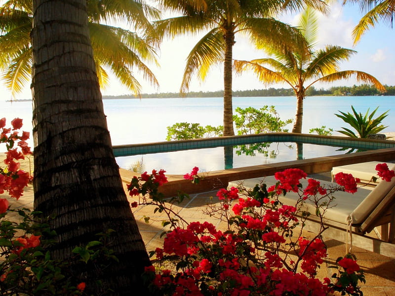 Evening Dusk at the Beach, polynesia, dusk, sunset, sea, atoll, palm trees, beach, bora bora, sand, flowers, evening, swimming, exotic, islands, ocean, pool, paradise, island, tahiti, bougainvillea, tropical, HD wallpaper