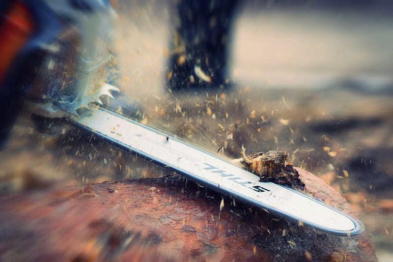 Chainsaw, autumn, wood, chips, HD wallpaper
