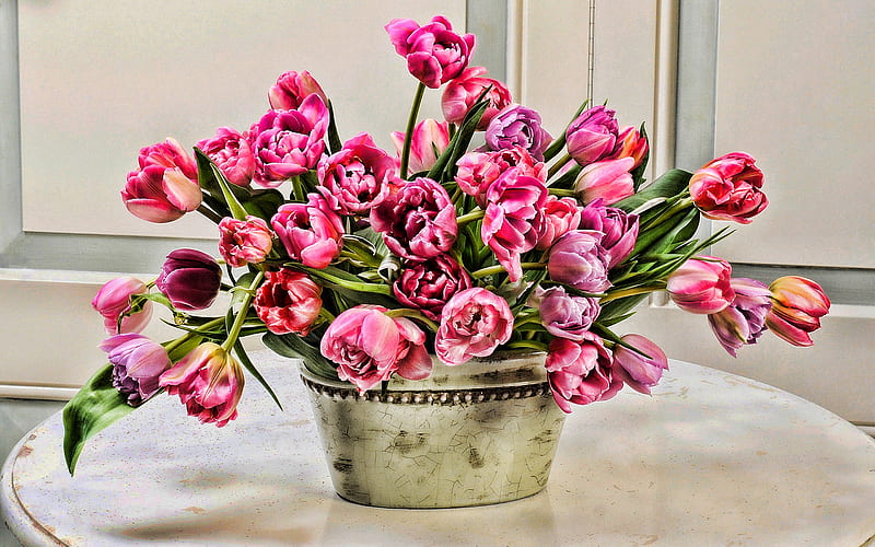 pot of tulips, spring, bouquet of tulips, pink flowers, pink tulips, HRD, tulips, HD wallpaper