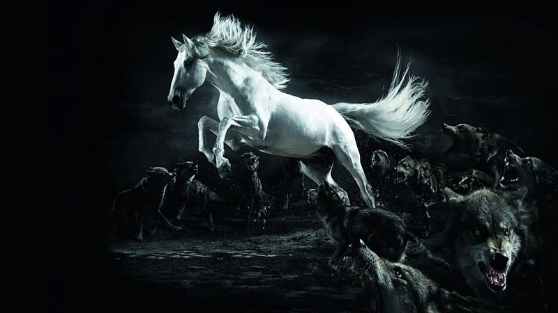 Horse and Wolves, Horse, white, wolves, jumping, HD wallpaper