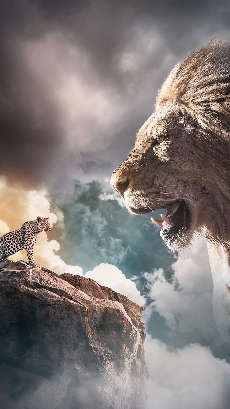 LION KING, animals, aslan, cat, cloud, mountain, rock, sky, smoke, HD phone  wallpaper | Peakpx