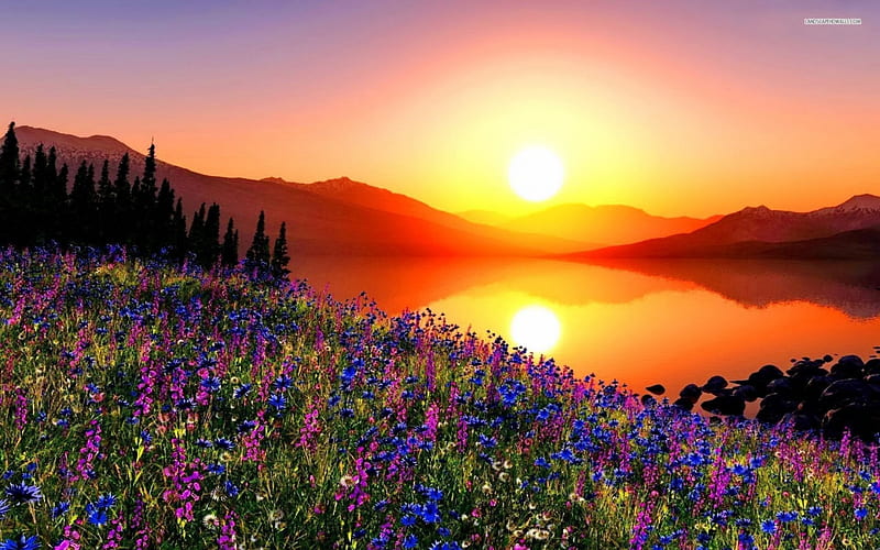 Glowing Sunrise, mountains, flowers, nature, sunrise, reflection, lake, HD wallpaper