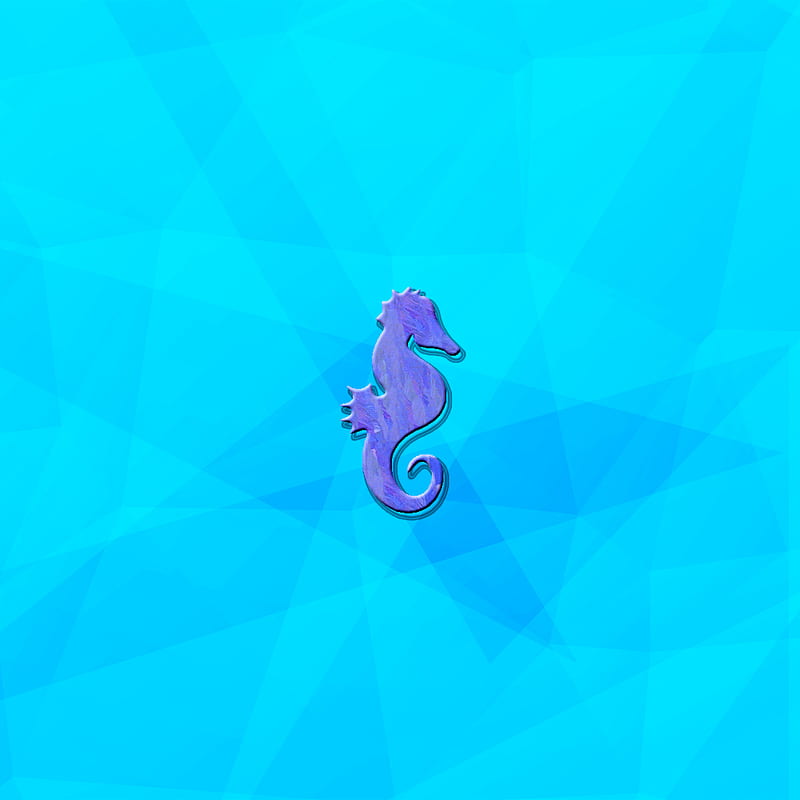 Seahorse, blue, purple, HD phone wallpaper