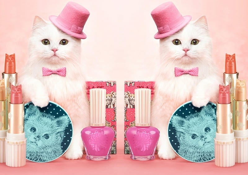 Cosmetics Pretty Bonito Adorable Lipstick Animal Sweet Nice Beauty Pink Hd Wallpaper Peakpx