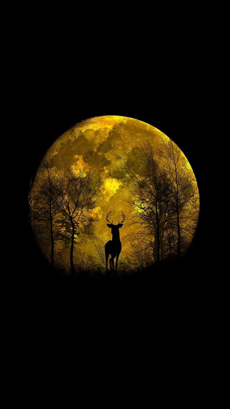Deer Moon, moon, deer, yellow, bright, dark, love, light, cool, black, HD phone wallpaper