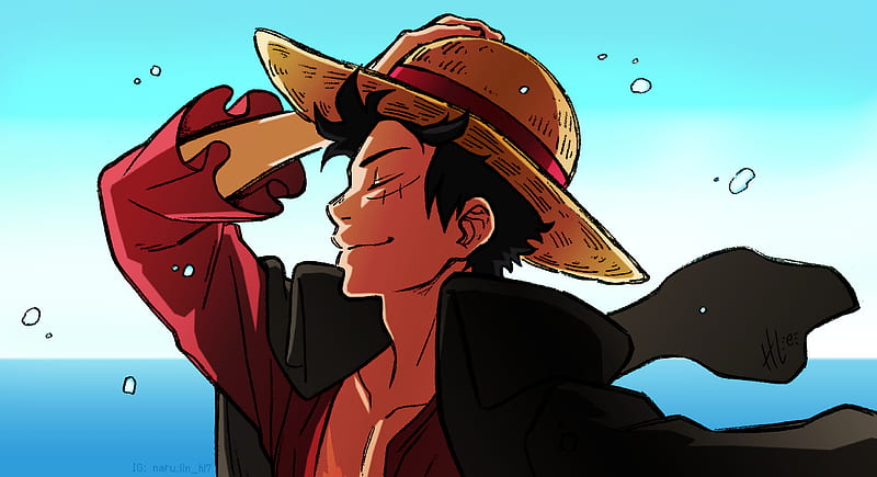 One Piece, Monkey D. Luffy , One Piece: Two Years Later, HD wallpaper
