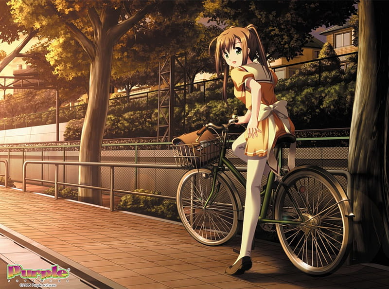 A Pause, anime, anime girl, sunset, bike, school girl, HD wallpaper