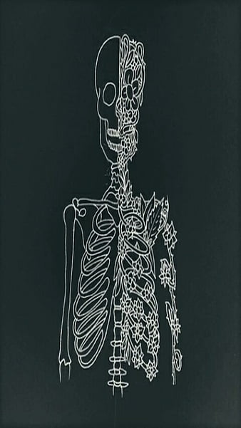 Skeleton Aesthetic Wallpaper - NawPic