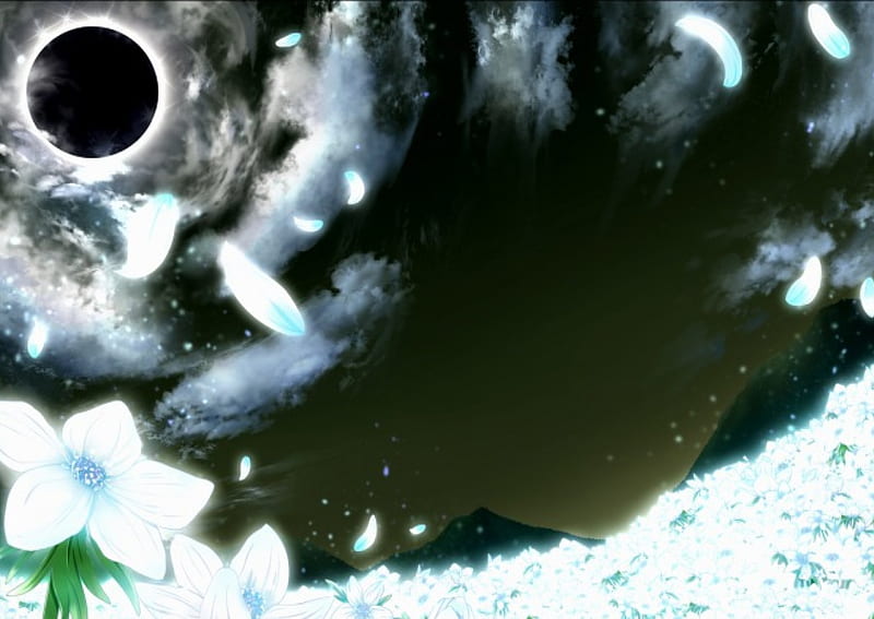 Eclipse む Shade, pretty, flow, cg, magic, sweet, nice, fantasy, anime, bright, blowing, beauty, realistic, star, lovely, black, sky, shining, flying, white, field, scenic, float glow, shine, bonito, moon, eclipse, scenery, night, cloud, blow, glowing, fly, flowing, dark, flower, magical, petals, scene, HD wallpaper