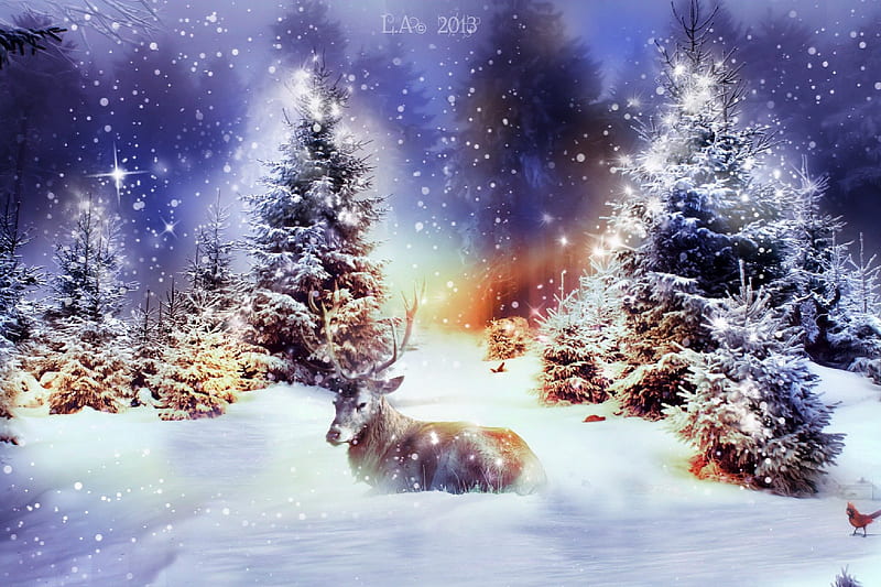 a winter tale - christmas in lapland, antlers, llpaper, christmas art, x mas , beautiful , deer, snowing backgrounds, sparkle, amazing , festive , new , uniue, magic christmas, stag, winter womderland, christmas , trees, lapland, beautiful christmas, christmas 2013, snow, magical, christmas backgrounds, amazin christmas , canada, HD wallpaper