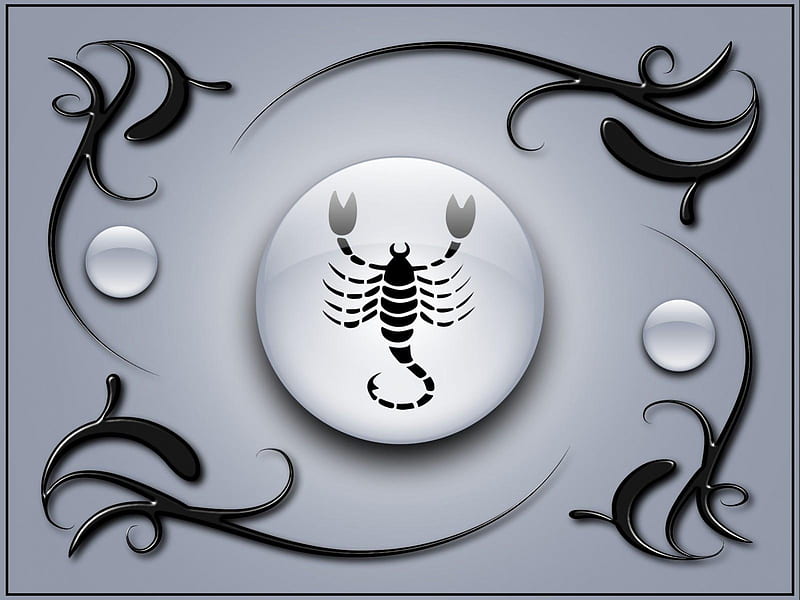 Dedicated To All The Scorpios, Zodiac, Cool, Horoscope, Scorpio Zodiac, Scorpio, Astrology, HD wallpaper