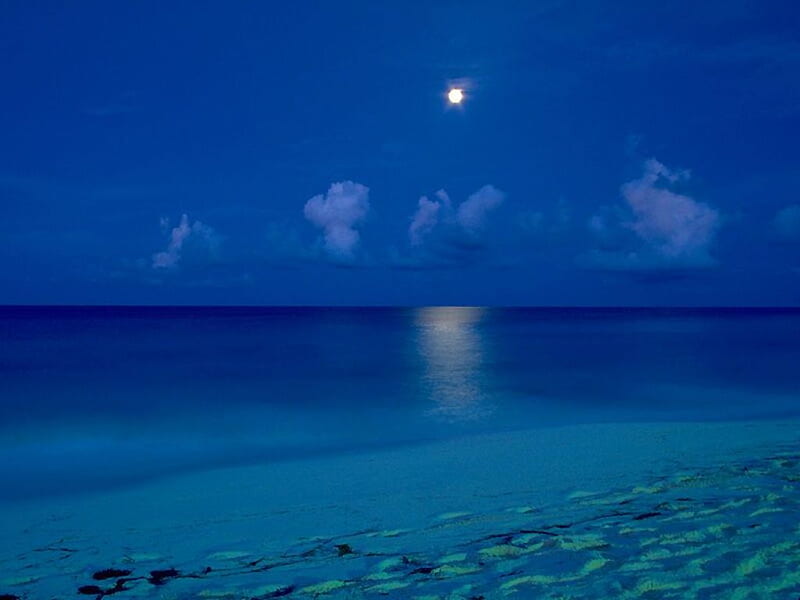 Cancun Mexico, oceans, moon, beaches, nature, sky, HD wallpaper