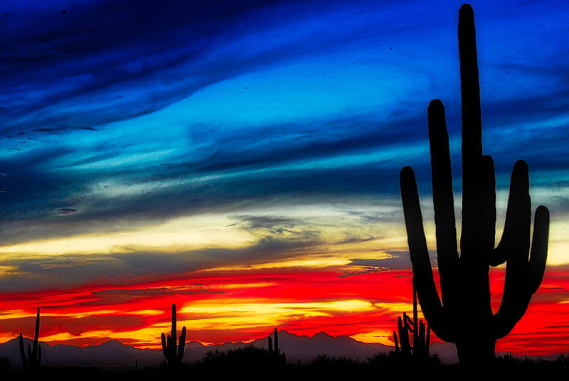 Painted Sky, arizona, sunset, clouds, saguaro, cactus, desert, mountain, HD wallpaper