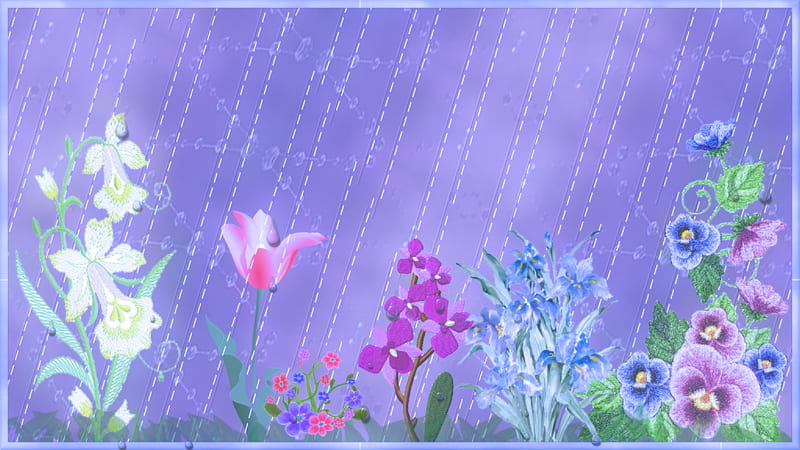Early Morning Rain, stitches, rain, tulip, iris, HD wallpaper