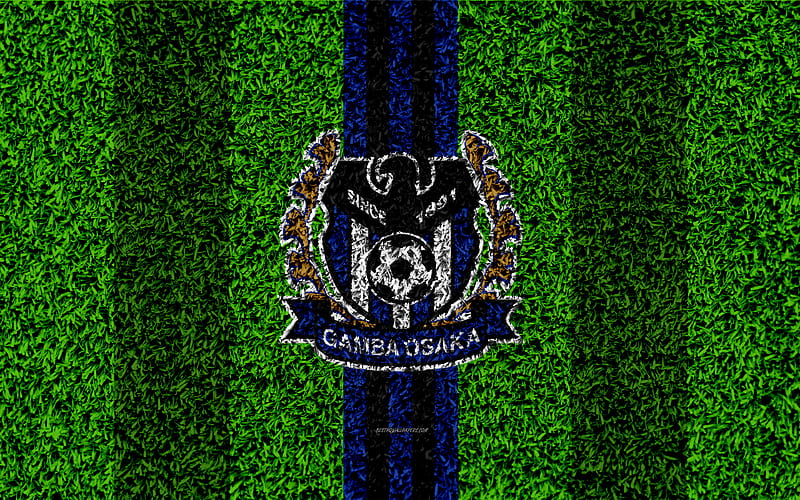 Gamba Osaka FC logo, football lawn, japanese football club, blue black lines, grass texture, J1 League, Osaka, japan, football, J-League, G-Osaka, HD wallpaper
