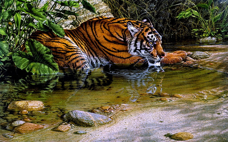 WILD REST, stream, tiger river, tiger, cat, beast of prey, thirsty, painting, jungle, lee kromschroeder, HD wallpaper