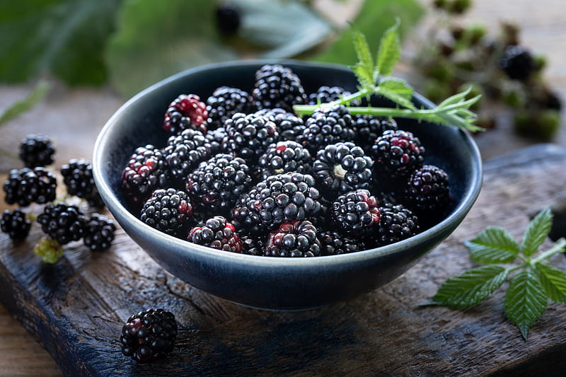 Food, Blackberry, Berry, Fruit, Still Life, HD wallpaper