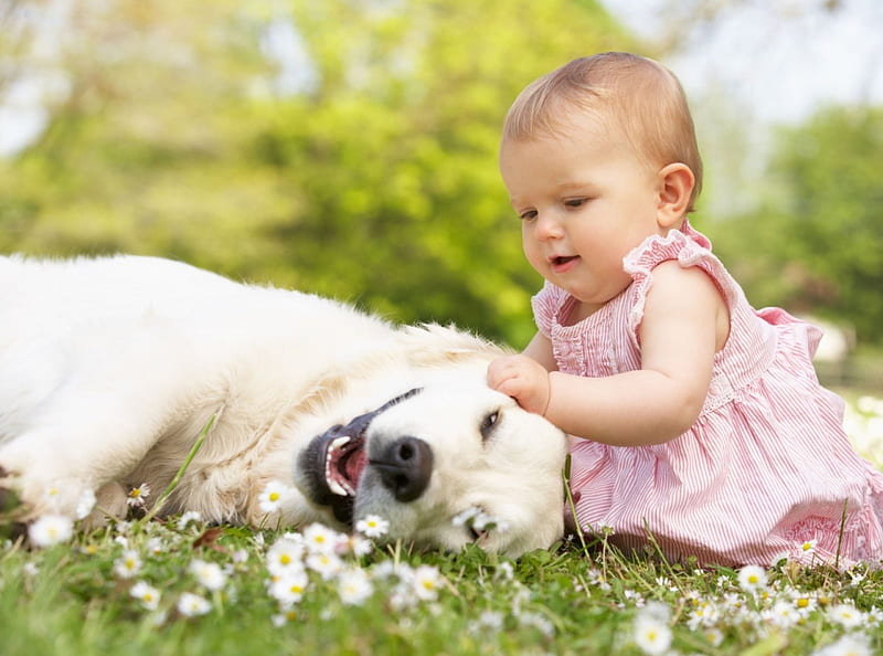 Baby and dog, pretty, lovely, playful dog, pay, playful, bonito, sweet, dog face, cute, puppies, bubbles, face, animals, dogs, puppy, HD wallpaper