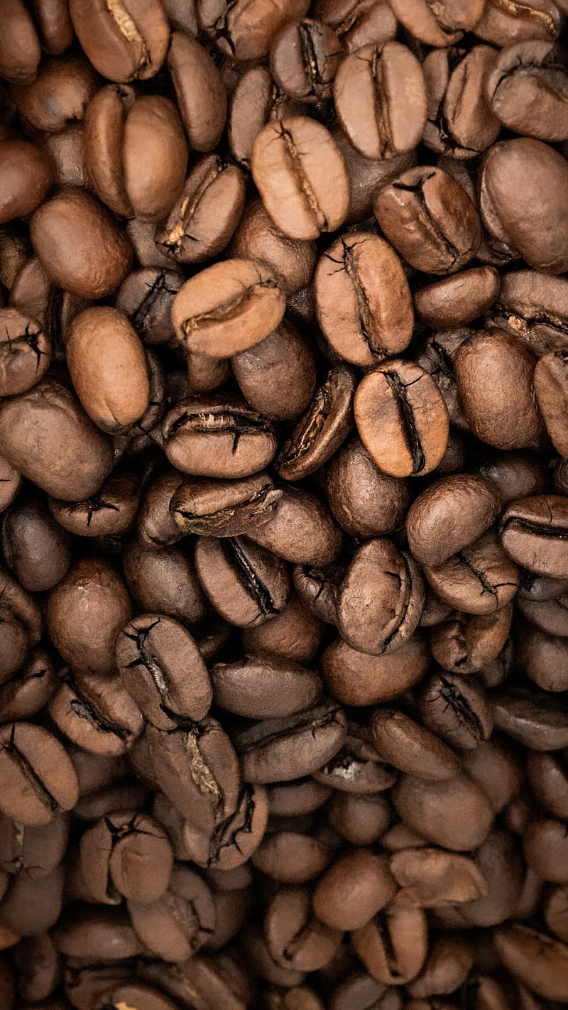 Coffe beans, Zoran, brown, dark, drink coffe, HD phone wallpaper