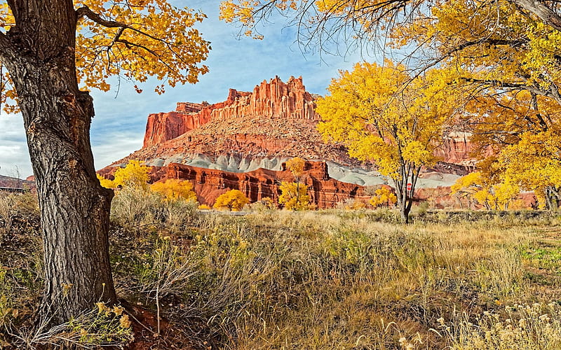 autumn landscape, utah, usa, HD wallpaper