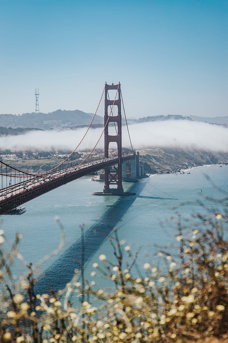 bridge, strait, aerial view, coast, fog, HD phone wallpaper