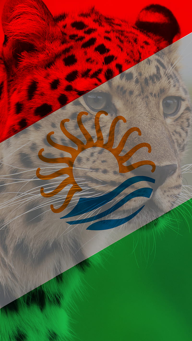 Talysh Flag Leopard, bayraq, flag leopard, percem, talis bayragi, talysh flag, HD phone wallpaper