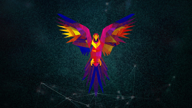 Parrot, minimal, HD wallpaper Parrot, minimal, HD wallpaper