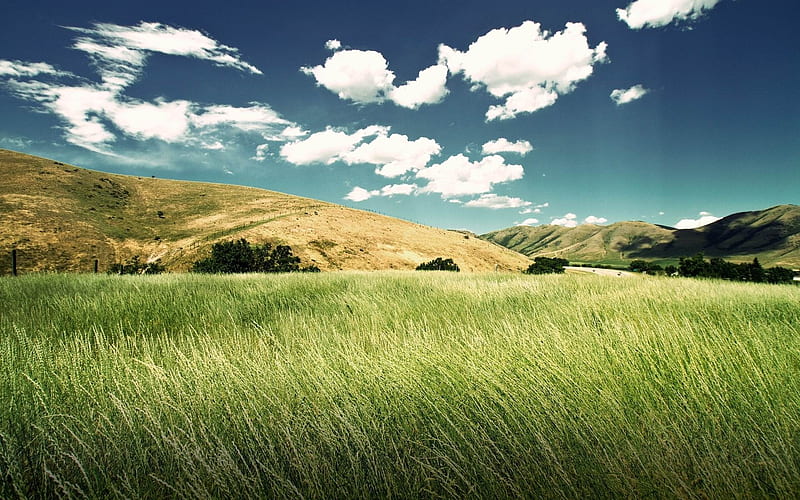 green valley-Beautiful natural landscape, HD wallpaper