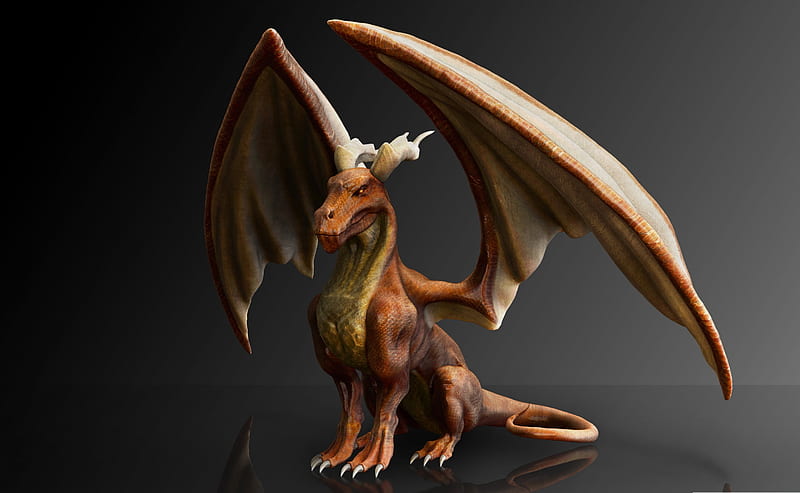dragon modelling, 3D, HD wallpaper