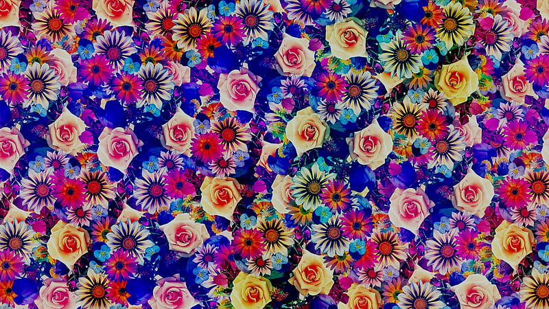 Bohemian Boho Wallpaper Colourful Flowers Wallpaper Rolls  Home Decoram