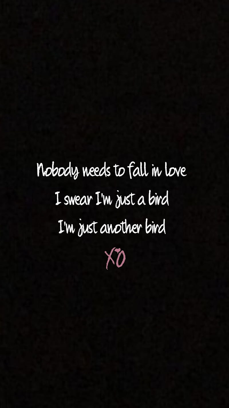 The Weeknd Lyrics, the weeknd, HD phone wallpaper | Peakpx